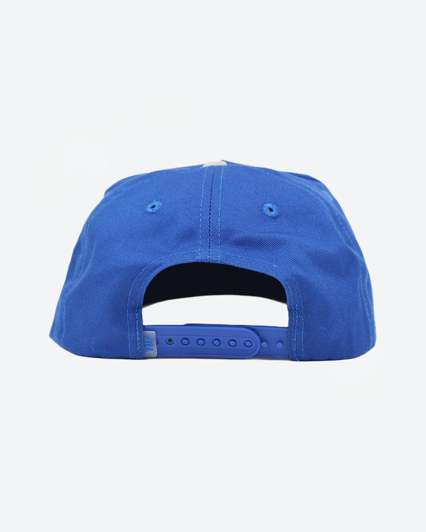 Truwear Cougars Fade Hat Kids