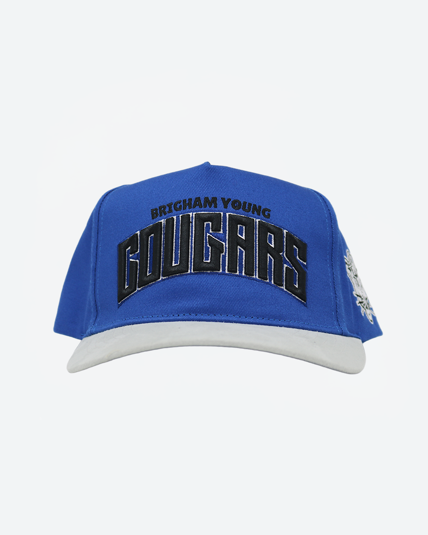 Truwear Cougars Fade Hat Adults