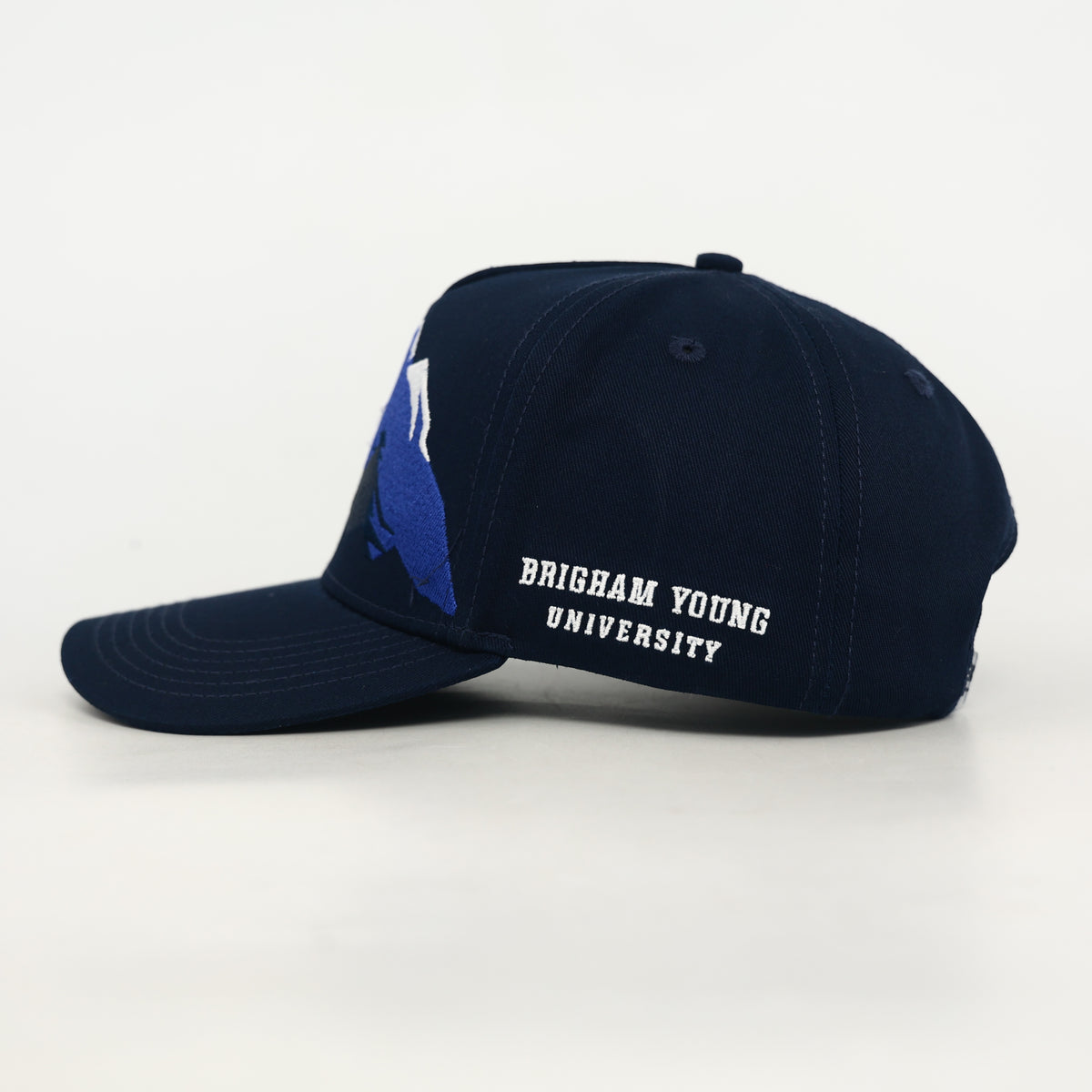 Y Mountain Navy Hat