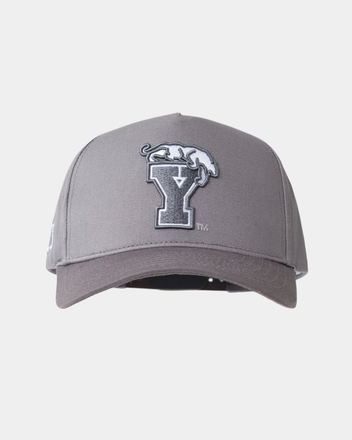 Fade Hat Y Cougar Grey