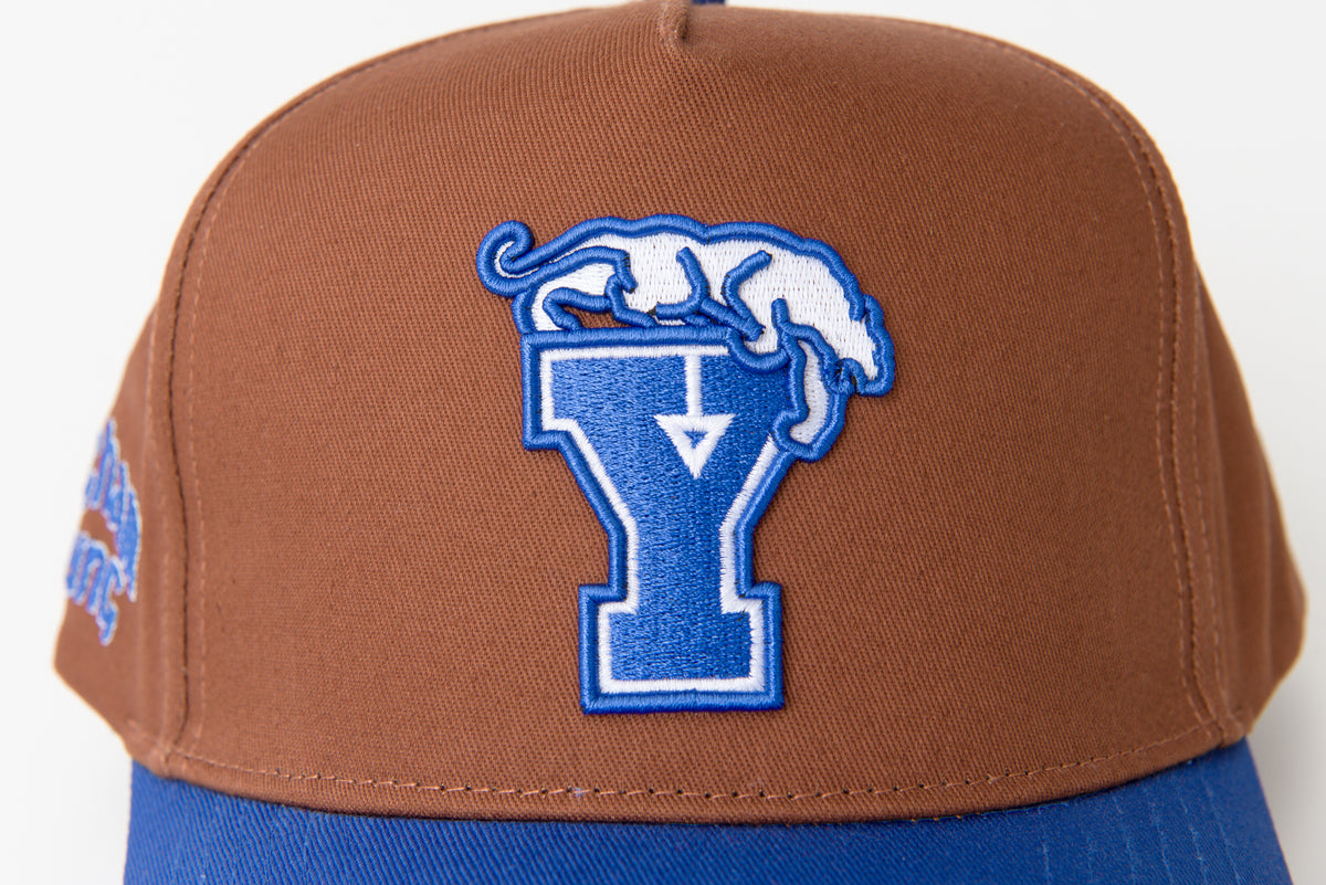 Brown & Royal Blue Brim Y