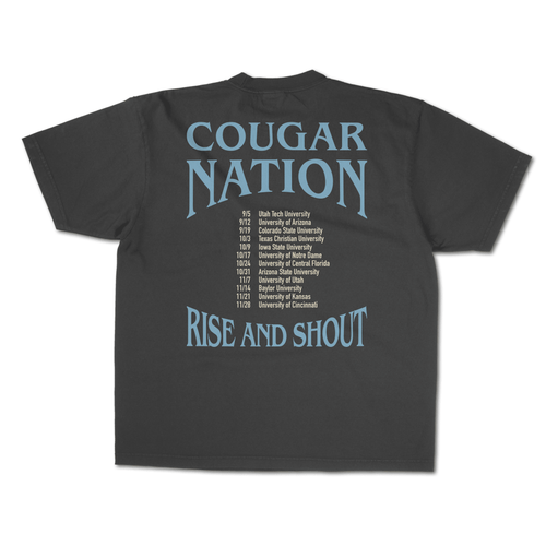 BYU LaVell Edwards Stadium Vintage T-Shirt – 2026 Schedule Tee - The Royal Blue
